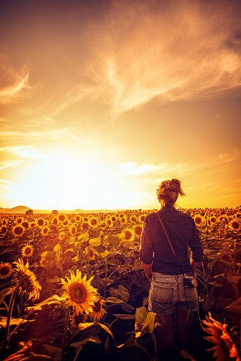 Young woman on the sunflower field