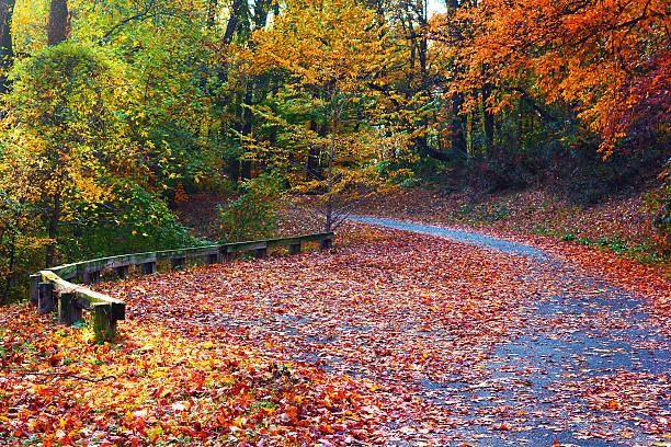 National Arboretum of Washington DC in autumn.