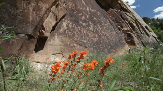 Wildflowers and Native American Newspaper Rock petroglyphs Utah