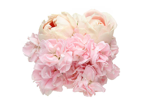 istock Bouquet of carnation and rose 528554966
