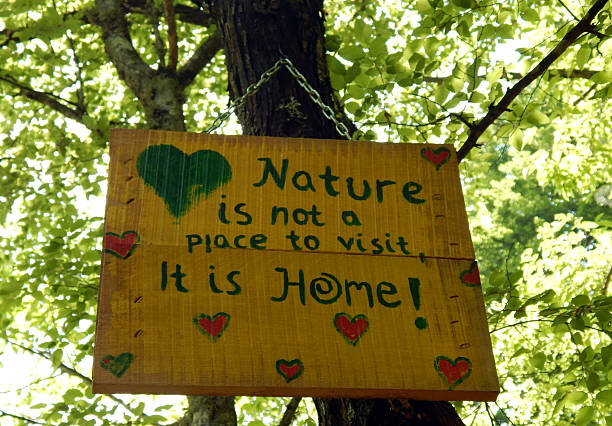 istock Message of Nature 1 528555738