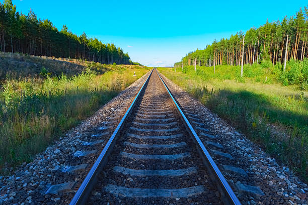 istock View of railroad track 528556488