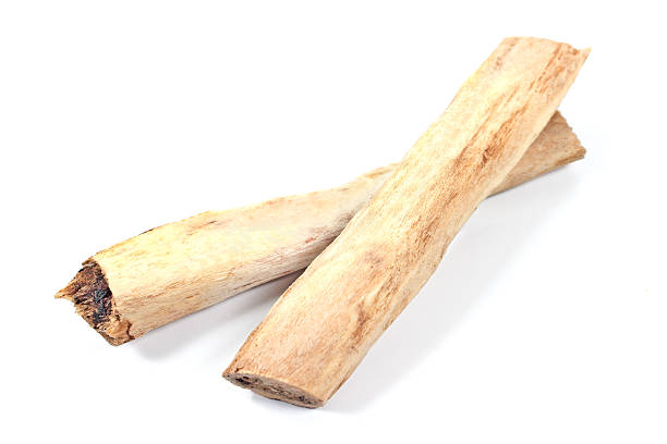 istock Two pieces of beef rib bones isolated on white 528556761
