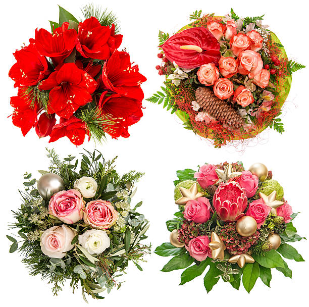 Flowers for Winter Holidays Christmas and New Year. Roses, amaryllis, protea isolated on white background