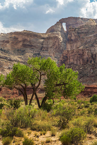 istock Hondu Arch from McKay Flat in the San Rafael Swell 528557712