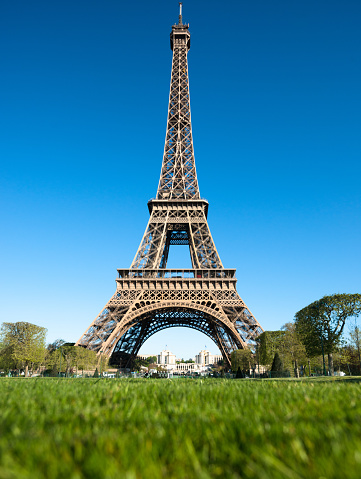 Tour eiffel tower from the grass