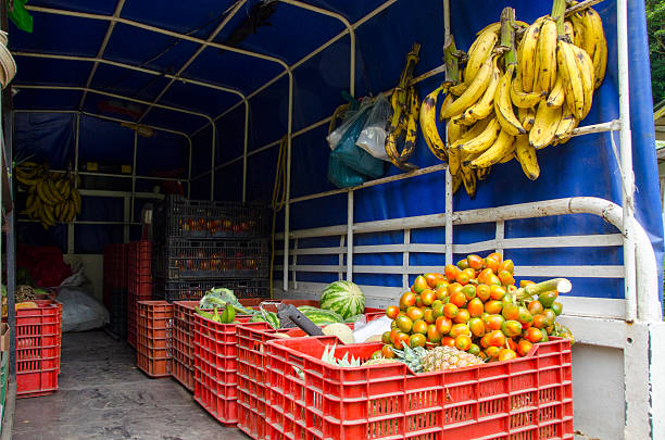 Produce delivery van in Costa Rica with plantains, peach palms, pineapples and melons.