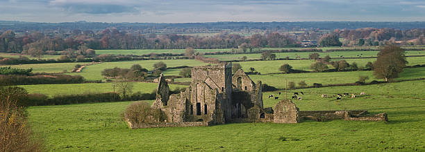istock Hore Abbey in Cashel 528558991