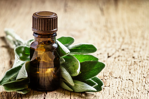 Esencial sabio aceite de aromaterapia, salvia fresca hojas photo