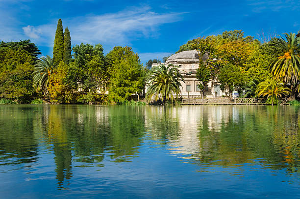 Lake with green vegetation.