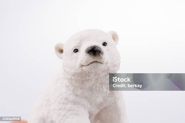 Polar Bear Stock Photo - Download Image Now - Animal, Animal Body Part,  Animal Hair - iStock