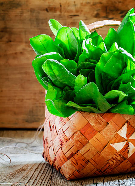 istock Beam of freshly cut sorrel in a wicker basket 528561780