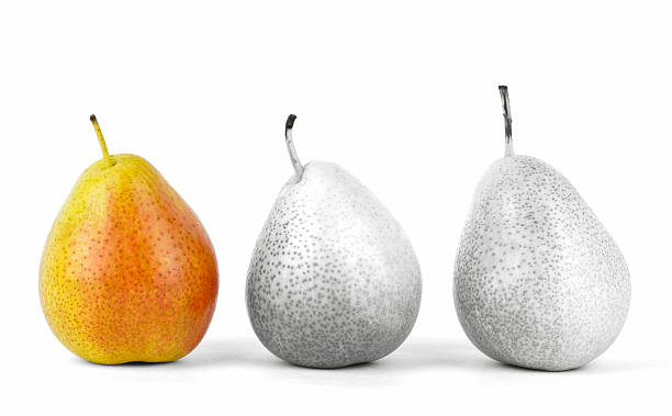 3 pears in a row Close up of three forelle pears in a row with selective color, one in color and the others in black and white. forelle pear stock pictures, royalty-free photos & images
