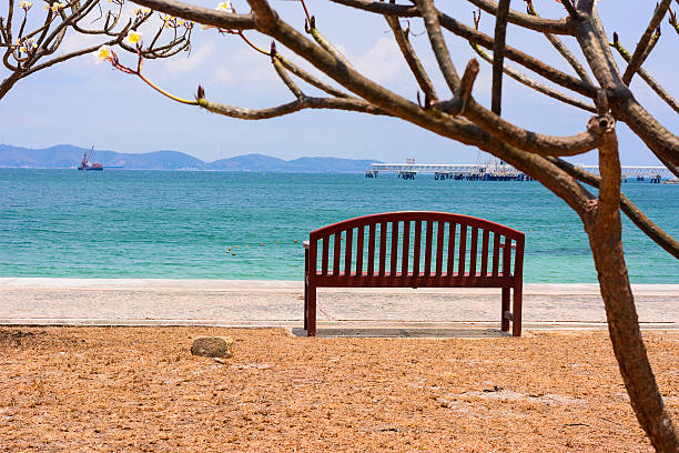 istock The chair with tree by the ocean. 528563756