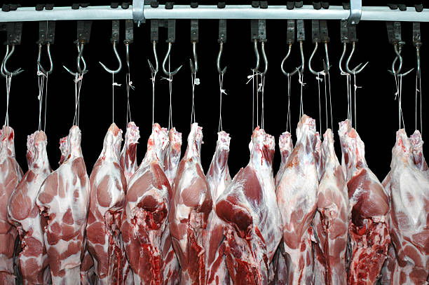 carne di maiale carne hanged in butchery - dead animal foto e immagini stock