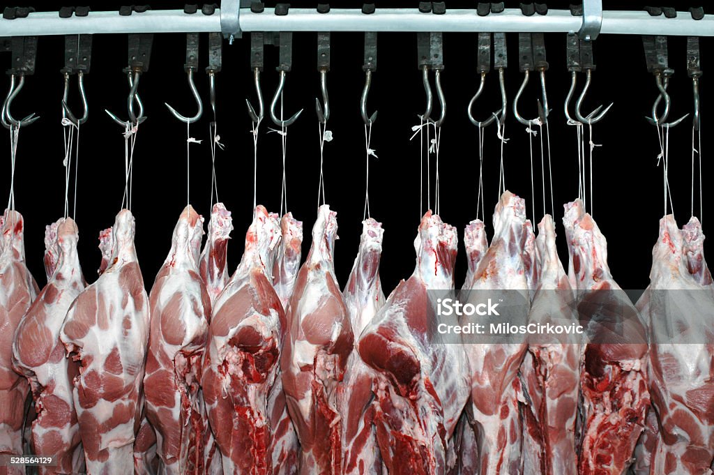 Pork meat hanged in a butchery Pork meat hanged on a hooks in a butchery on a black background. Slaughterhouse Stock Photo
