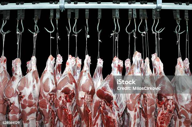 Pork Meat Hanged In A Butchery Stock Photo - Download Image Now - Slaughterhouse, Butcher, Butcher's Shop