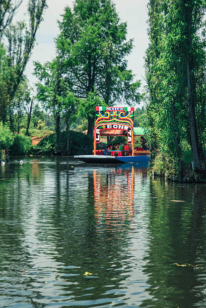 Trajinera Boats In The Canals, Xochimilco - Mexico City Mexico City, Mexico - May 1, 2016: Trajinera boat in the canals of Xochimilco, in a sunny afternoon of spring. The colorful boat stand out over the green waters of the quiet canal. trajinera stock pictures, royalty-free photos & images