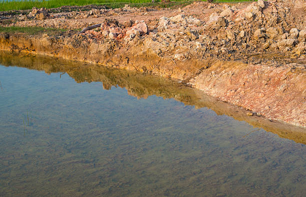 istock green grass with in soil and water. 528564588