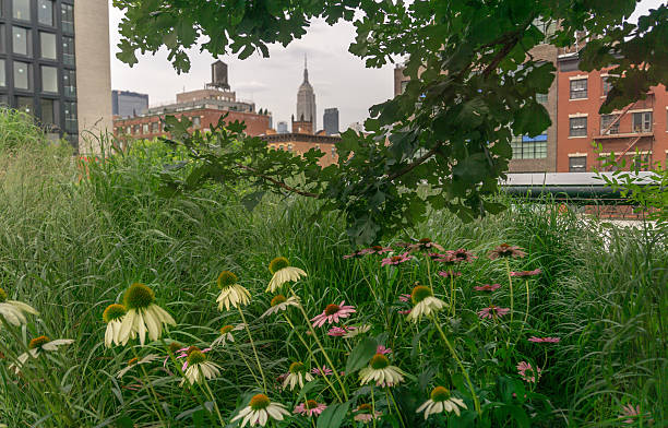 New York City, Empire State Building from High Line Park stock photo