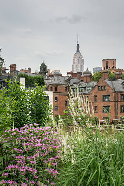 istock Empire State Building, New York City from High Line Park 528566622