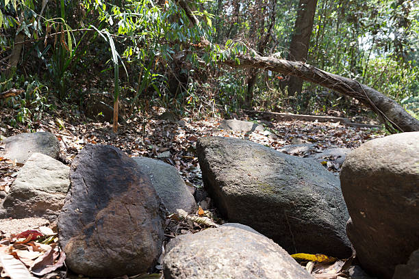 trail on cascade waterway on hill in forest in drought for hiking or trekking