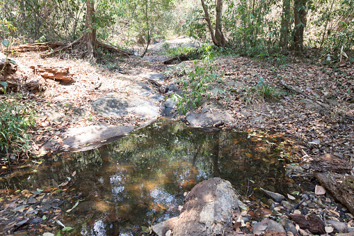 trail on cascade waterway on hill in forest in drought for hiking or trekking