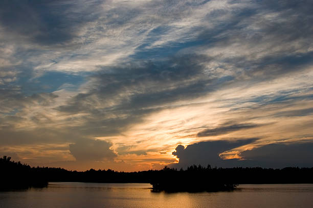 istock Sunset with the profile of bird 528567666