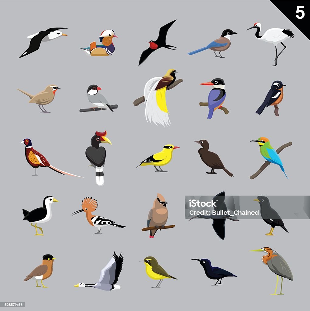 Verschiedene Vogelarten Comic Vektor-Illustration 5 - Lizenzfrei Pirol - Vogelgattung Vektorgrafik