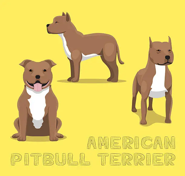 Vector illustration of Dog American Pitbull Terrier Cartoon Vector Illustration