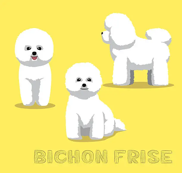 Vector illustration of Dog Bichon Frise Cartoon Vector Illustration