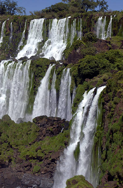 istock Iguazu Falls - South America 528577218