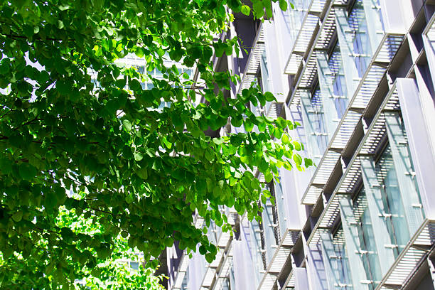 istock Fresh green leaves and high-rise buildings 528579144