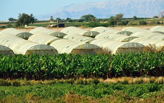 Greenhouses in lisan Peninsula, Dead Sea, Jordan
