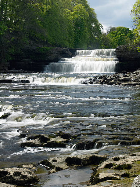 istock Aysgarth Falls - Wensleydale - Yorkshire Dales - England 528581740