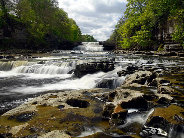 istock Aysgarth Falls - Wensleydale - Yorkshire Dales - England 528581802