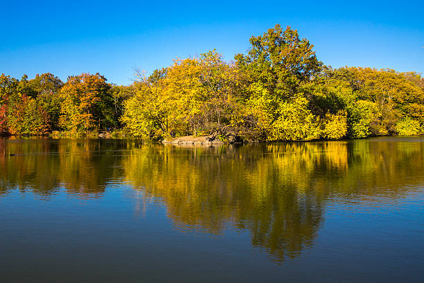 istock View of Central Park in Manhattan 528582693