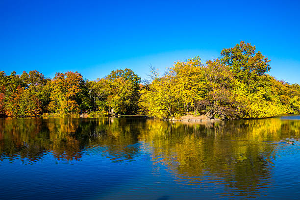 istock View of Central Park in Manhattan 528582697
