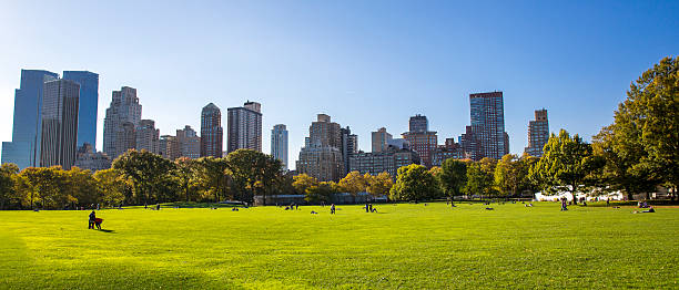istock View of Central Park in Manhattan 528582797