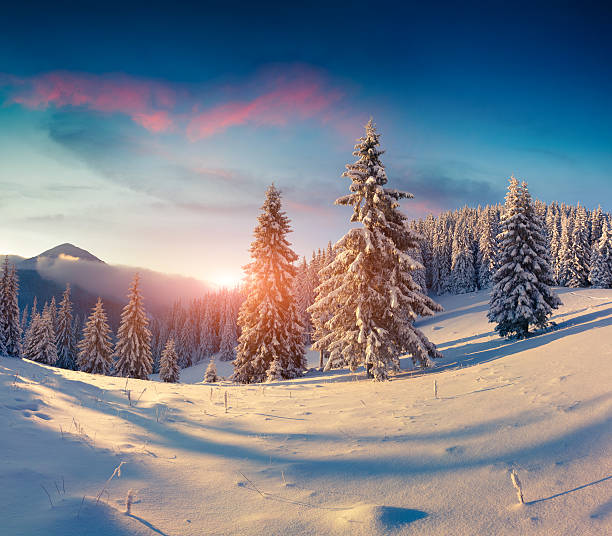 Beautiful winter sunrise in the snowy mountains Beautiful winter sunrise in the snowy mountains winter sunrise mountain snow stock pictures, royalty-free photos & images