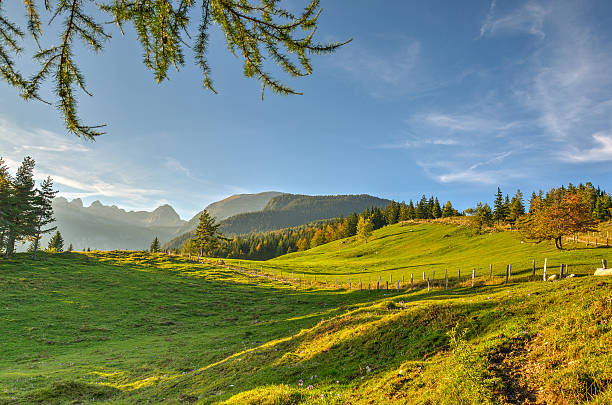istock Alpine Meadow Planina Uskovnica 528586811