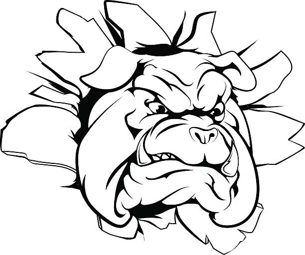 Vector illustration of Bulldog mascot breaking through wall