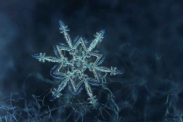 Photo of Snowflake