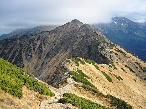 istock lonely man standing on the top of mountain 528607345