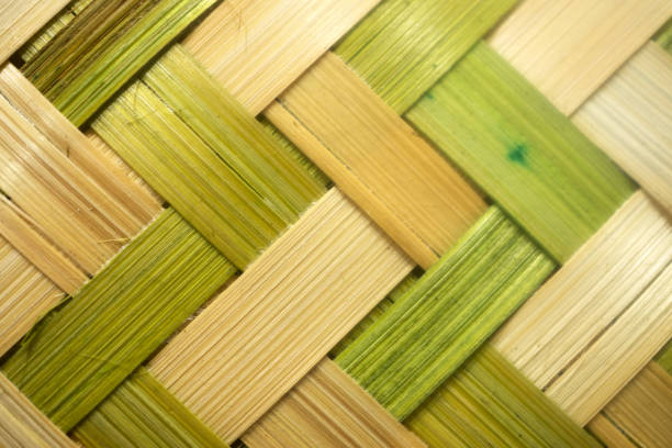 Green grass background. Backdrop made of vertical grass blades. Abstract grass texture banner.