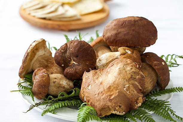 istock Porcini mushrooms 528607822