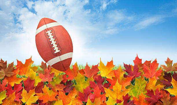 istock Football with fall leaves on grass, blue sky and clouds 528607889