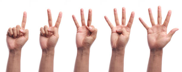 jeden z pięciu palcami licznik ręką gest puste - hand sign index finger human finger human thumb zdjęcia i obrazy z banku zdjęć