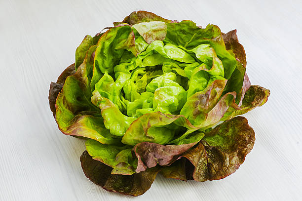 Lettuce Salad stock photo
