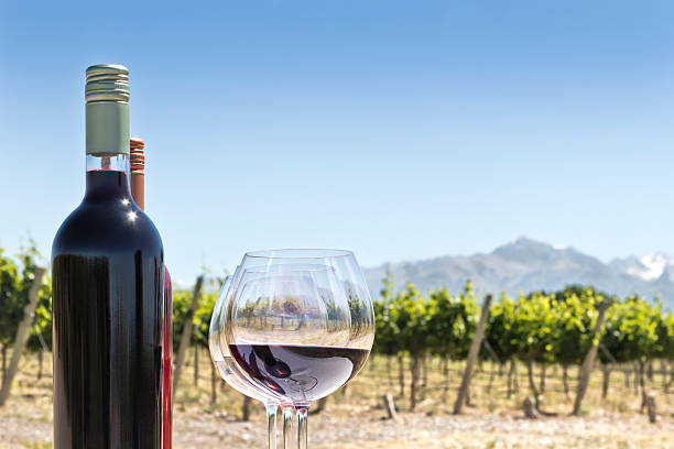 istock Glasses and bottles of wine 528611191